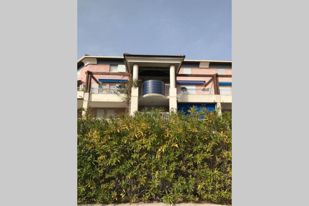 Magnifique Studio A 50M De La Plage De Cavaliere - Studio Tamarindo Le Lavandou Kültér fotó