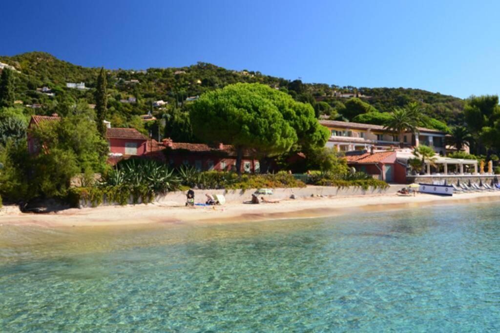 Magnifique Studio A 50M De La Plage De Cavaliere - Studio Tamarindo Le Lavandou Kültér fotó