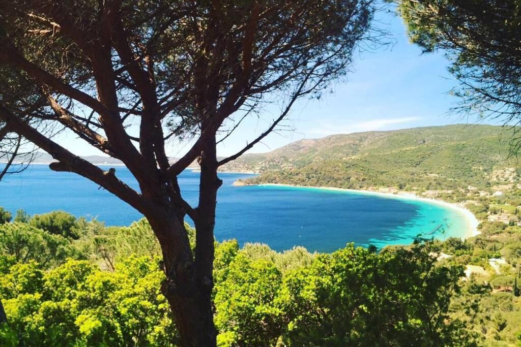 Magnifique Studio A 50M De La Plage De Cavaliere - Studio Tamarindo Le Lavandou Kültér fotó
