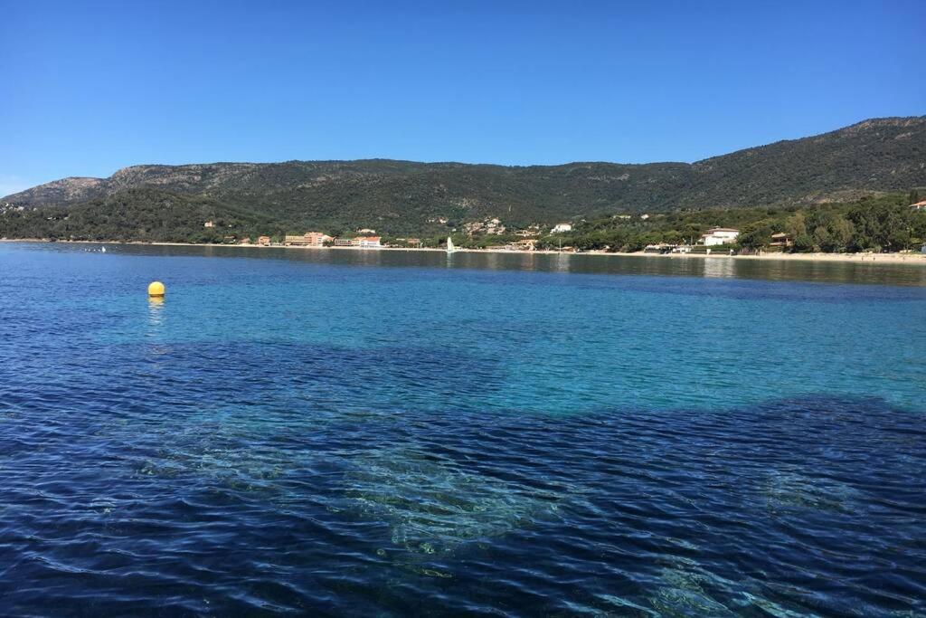 Magnifique Studio A 50M De La Plage De Cavaliere - Studio Tamarindo Le Lavandou Kültér fotó