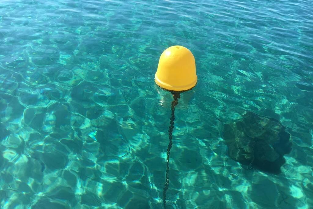 Magnifique Studio A 50M De La Plage De Cavaliere - Studio Tamarindo Le Lavandou Kültér fotó