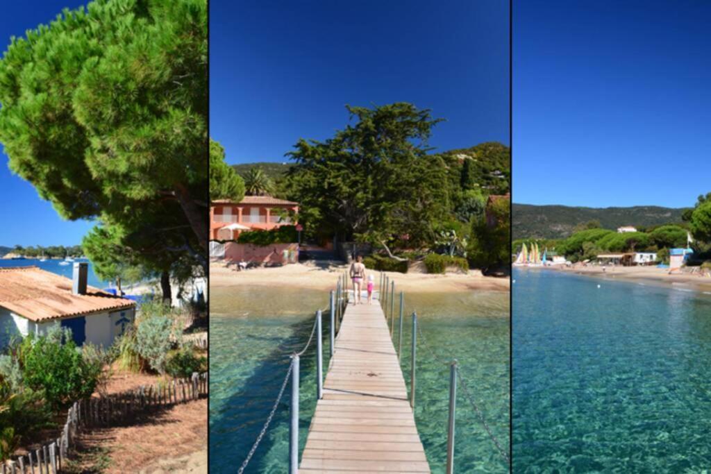 Magnifique Studio A 50M De La Plage De Cavaliere - Studio Tamarindo Le Lavandou Kültér fotó
